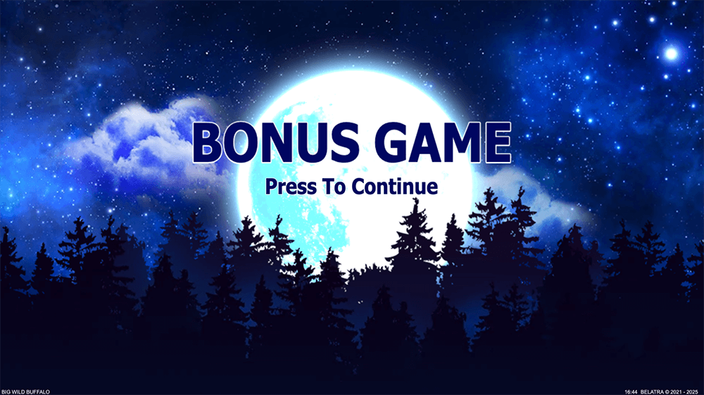 Free Spins Free Spins