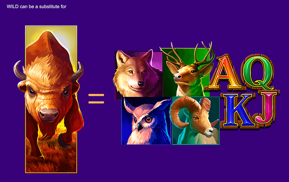 Expanding Wild Expanding Wild